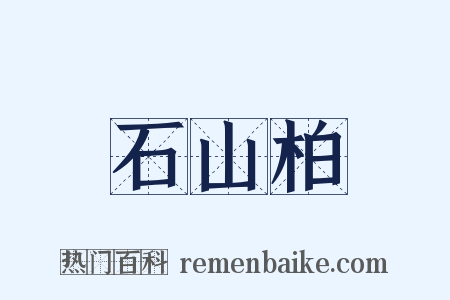 石山柏是什么意思的图片